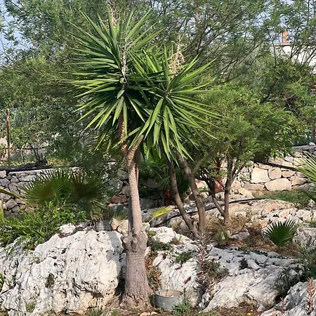 Appartamento La Casa Del Vagabondo