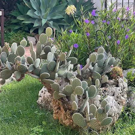 La Casa Del Vagabondo Appartamento *